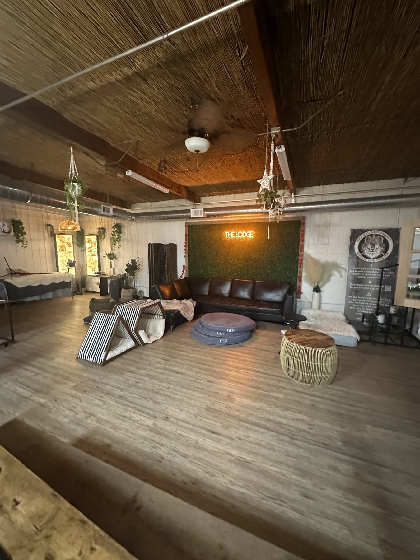 Comfortable DEN Lodge room with sofas and soft dog beds for overnight guests