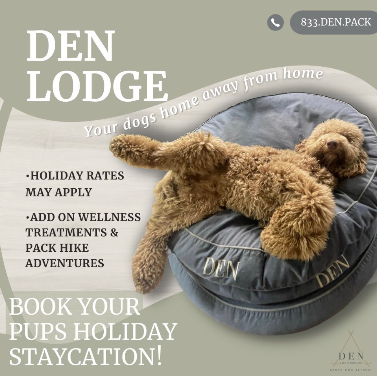 Overnights at DEN Urban Dog Retreat