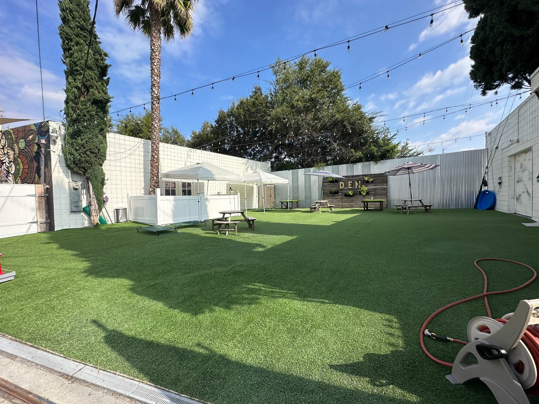 Daycare + Yard at DEN Urban Dog Retreat