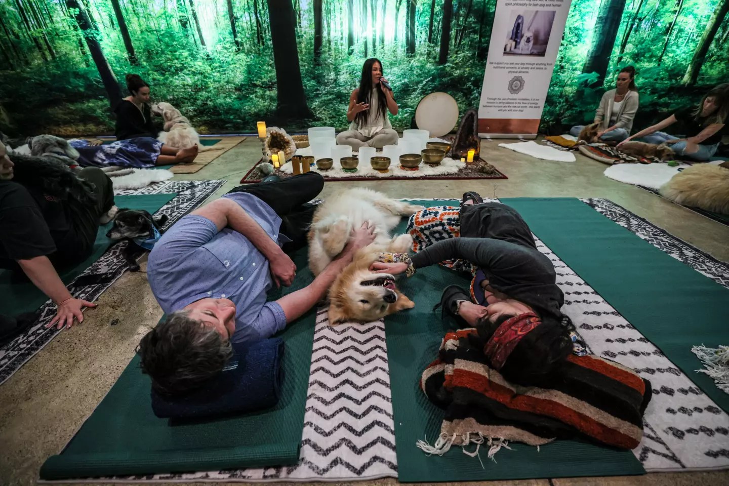 Life at DEN at DEN Urban Dog Retreat