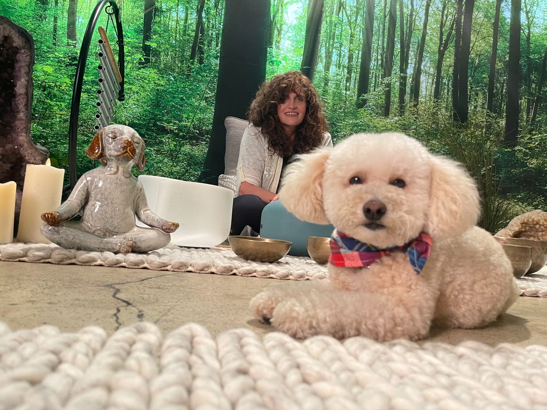 Authentic DEN dog wellness event and retreat experience in Los Angeles