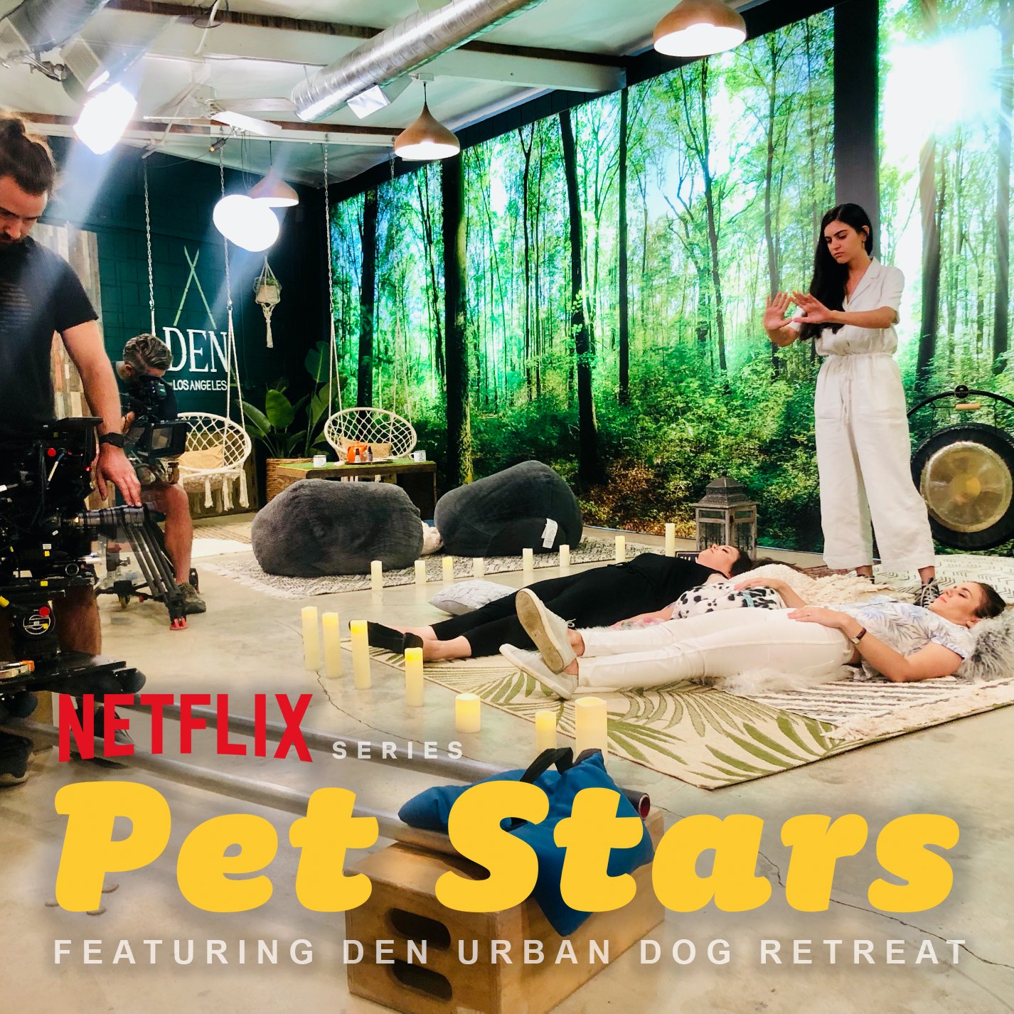 Real DEN community sound bath with dogs, guests and crystal singing bowls in the forest-inspired studio